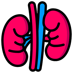 Kidney Disease