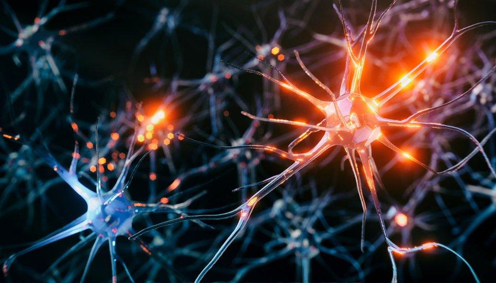 Parkinson Disease